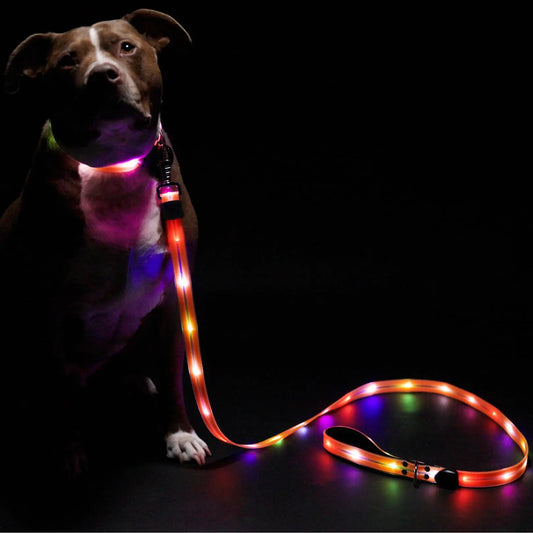 GlowStride LED Dog Leash - 6ft nighttime Safety Lead