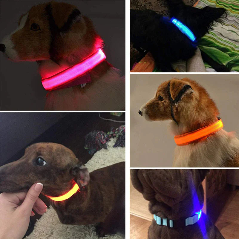 GlowPup LED Safety Collar - Nighttime Visibility for Dogs