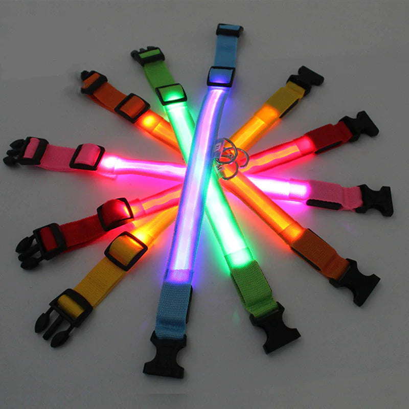GlowPup LED Safety Collar - Nighttime Visibility for Dogs