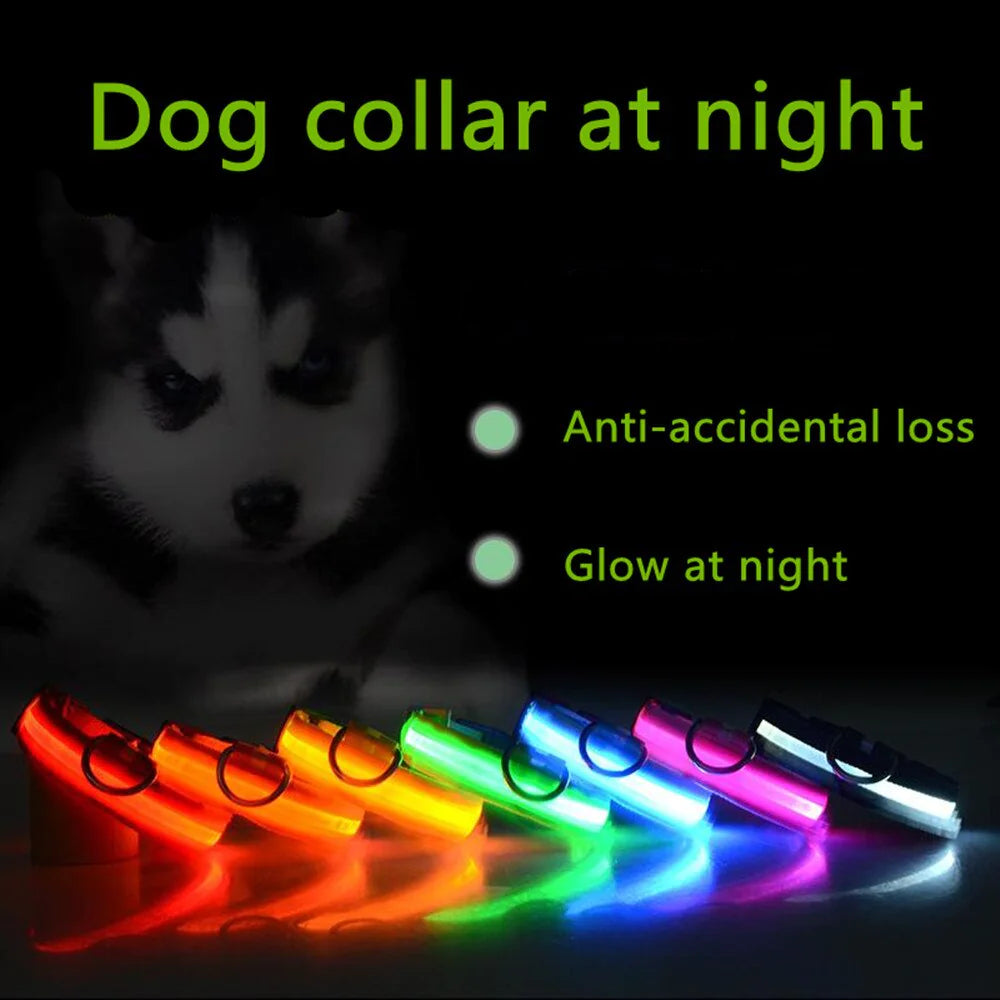 GlowPup LED Safety Collar - Nighttime Visibility for Dogs