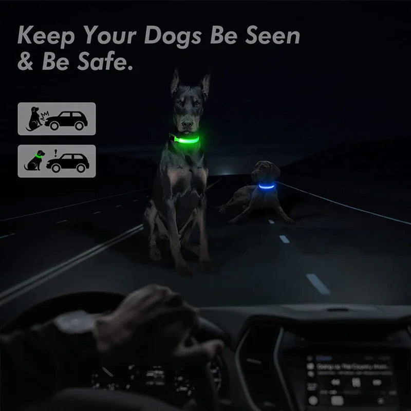 GlowPup LED Safety Collar - Nighttime Visibility for Dogs