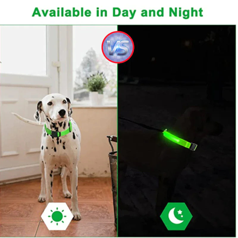 GlowPup LED Safety Collar - Nighttime Visibility for Dogs