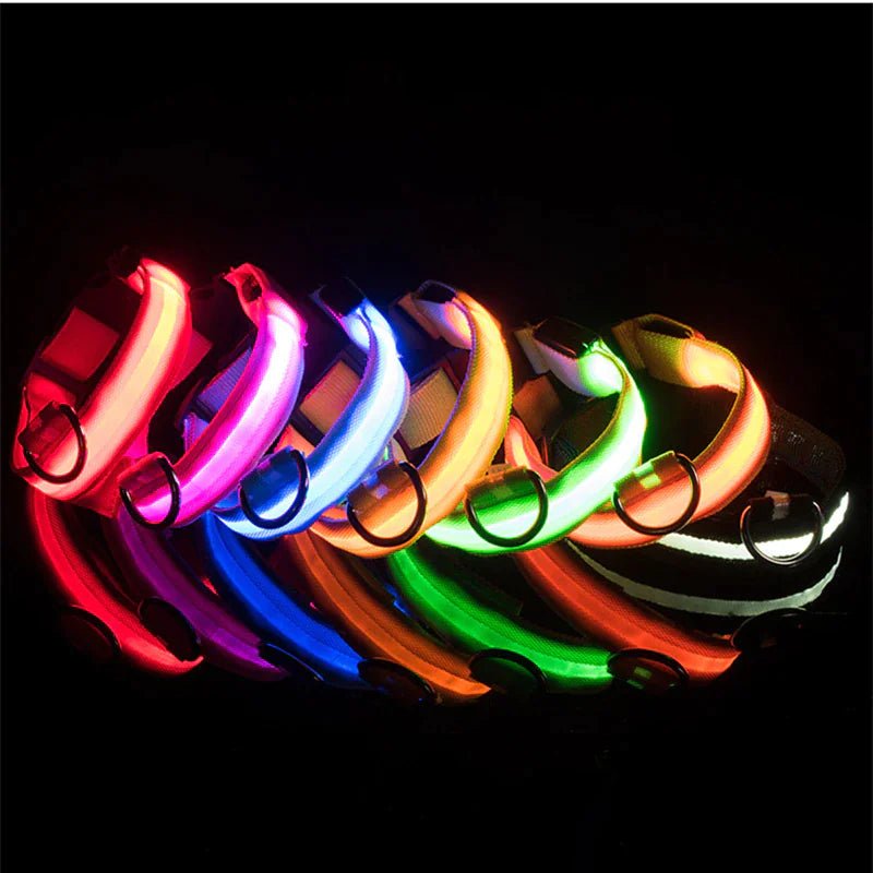 GlowPup LED Safety Collar - Nighttime Visibility for Dogs