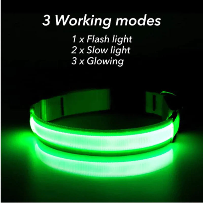 GlowPup LED Safety Collar - Nighttime Visibility for Dogs