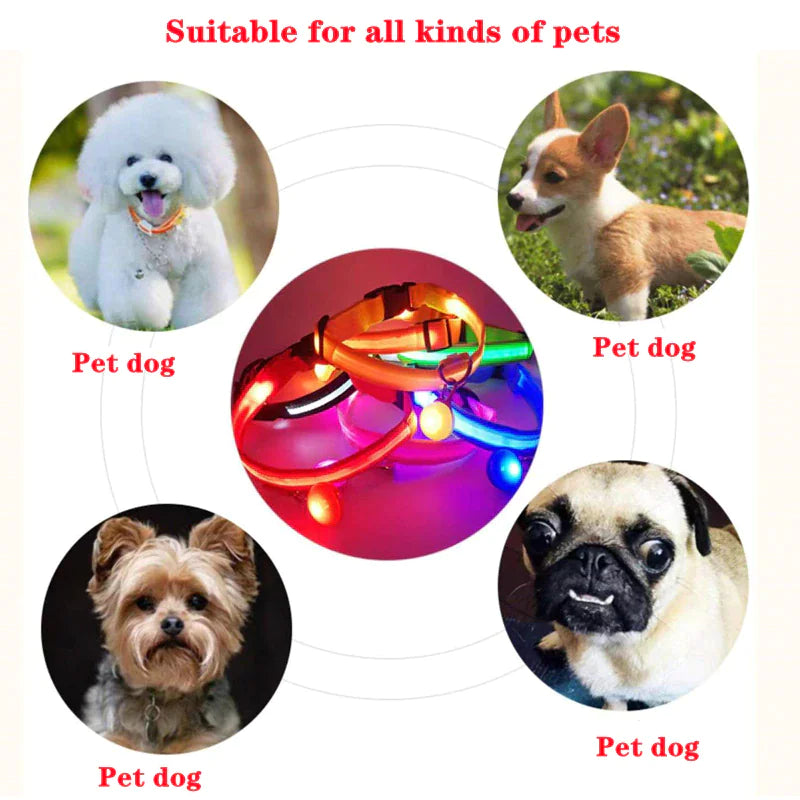 GlowPup LED Safety Collar - Nighttime Visibility for Dogs