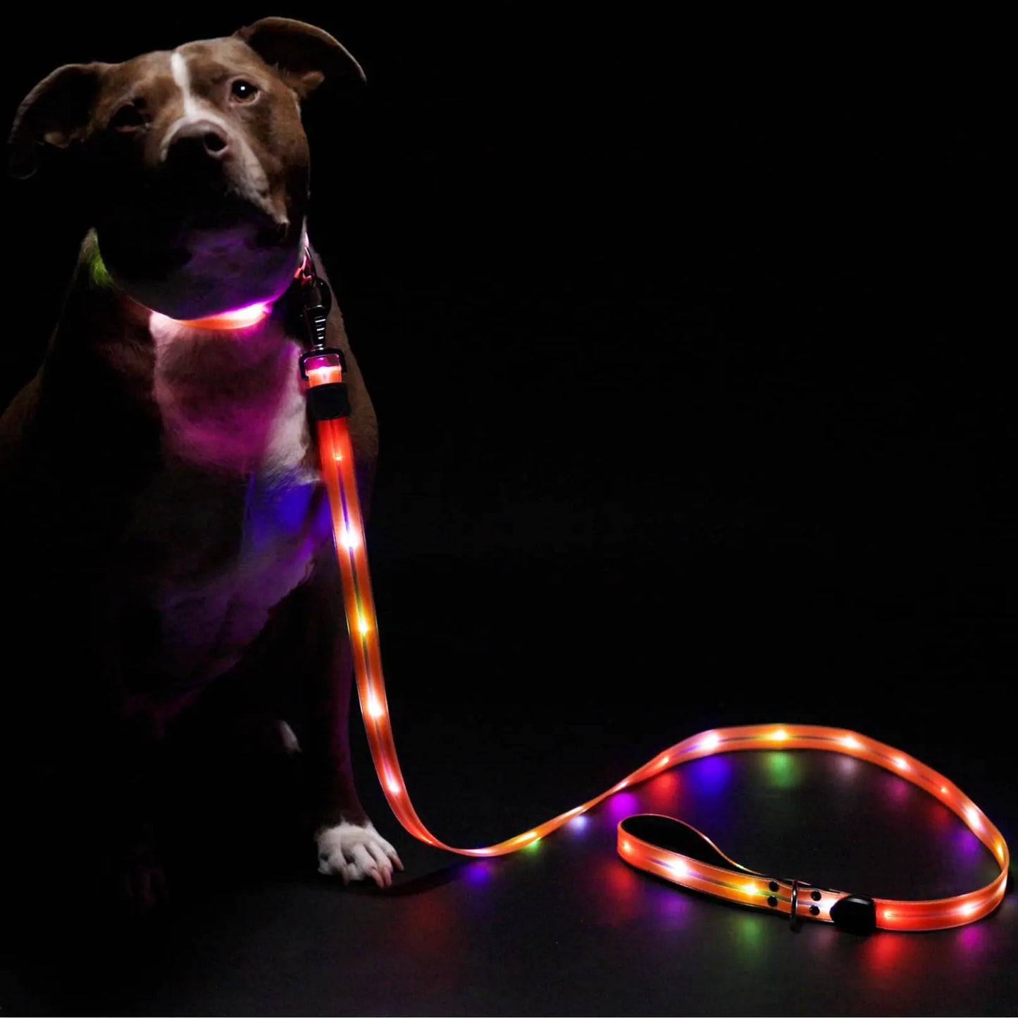 GlowStride LED Dog Leash - 6ft nighttime Safety Lead