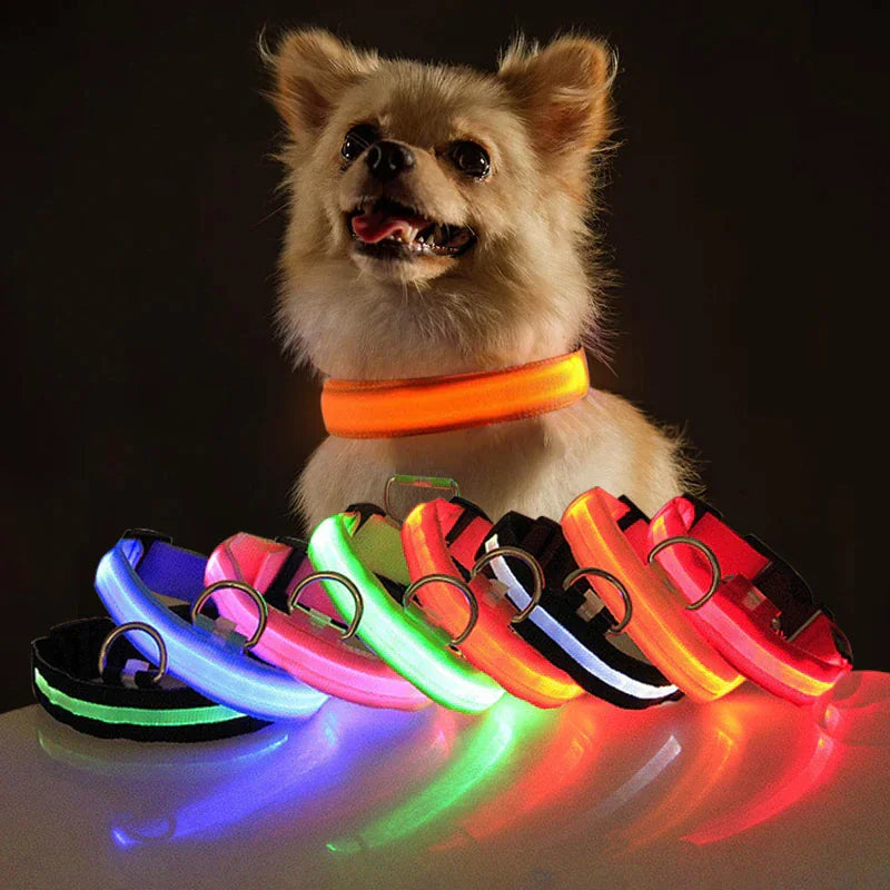 GlowPup LED Safety Collar - Nighttime Visibility for Dogs