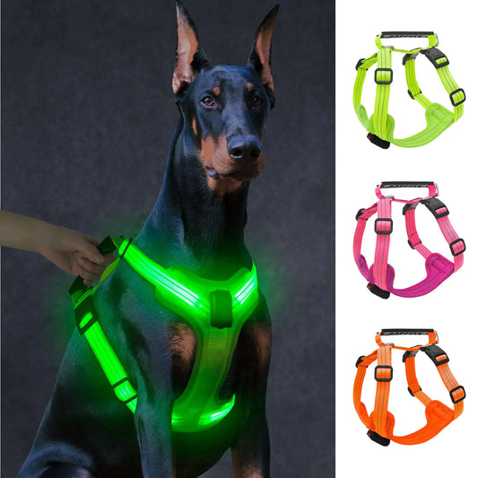 GlowHound LED Harness – Light the Way for Every Walk