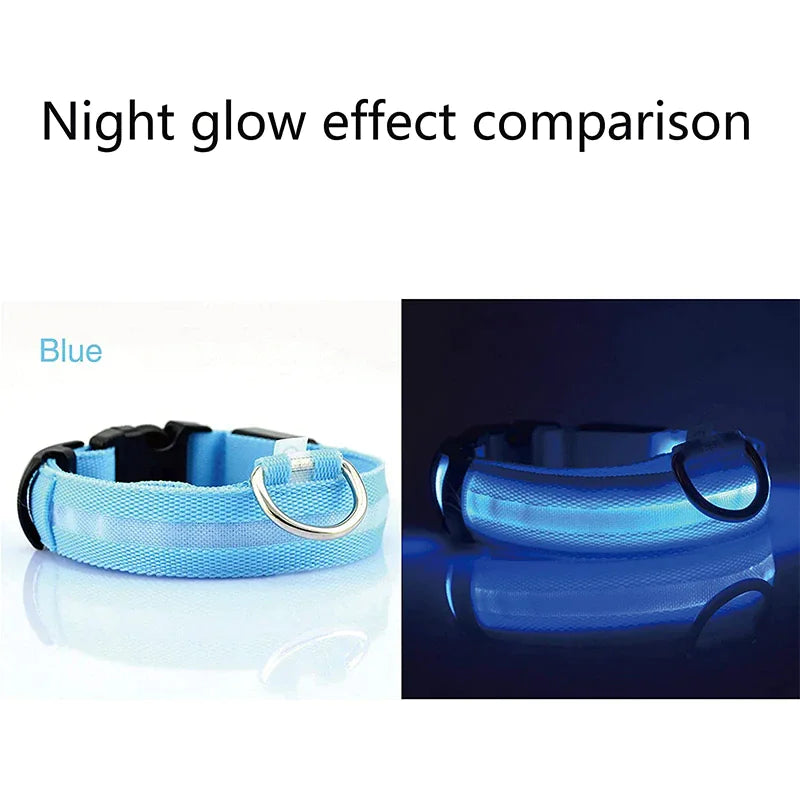 GlowPup LED Safety Collar - Nighttime Visibility for Dogs